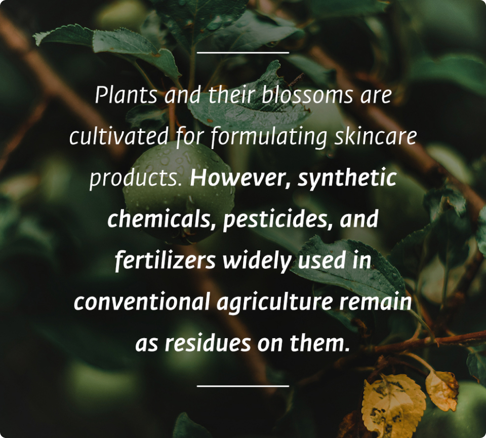 Why Organic Skincare?